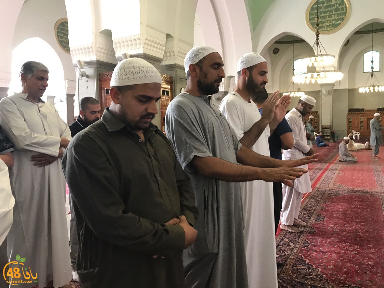 mo3tmren yaffa 0033 (13).jpg